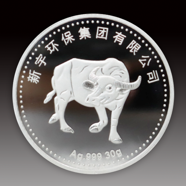 新宇環保集團有限公司